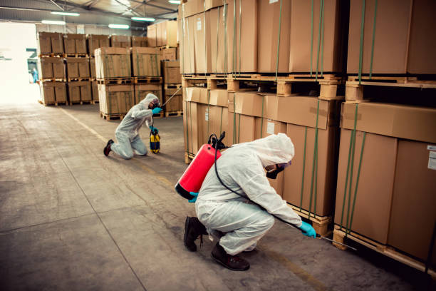 Best Wildlife Control Services  in Ozk, AR