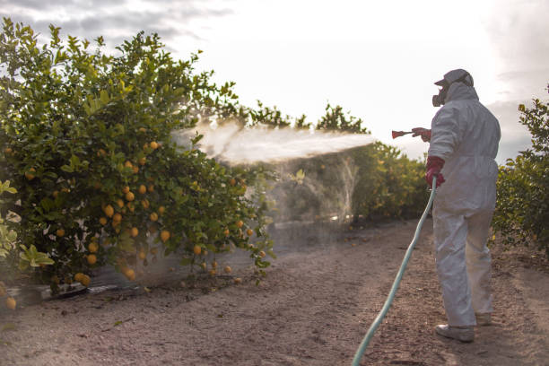 Best Residential Pest Control  in Ozk, AR