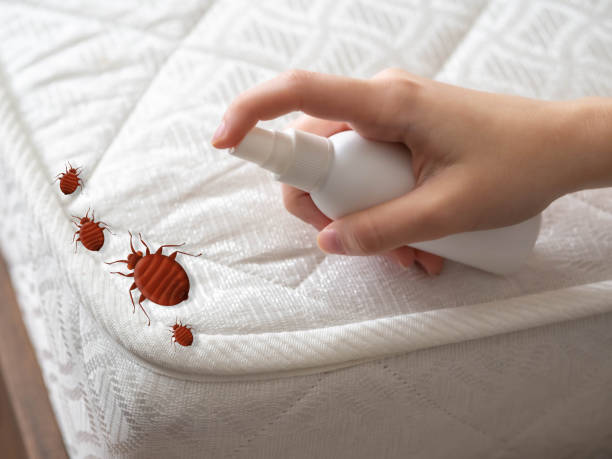 Best Pest Inspection Near Me  in Ozk, AR