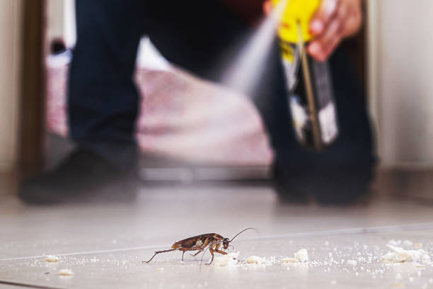 Best Bed Bug Extermination  in Ozk, AR