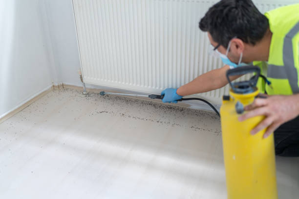 Best Pest Removal Services  in Ozk, AR