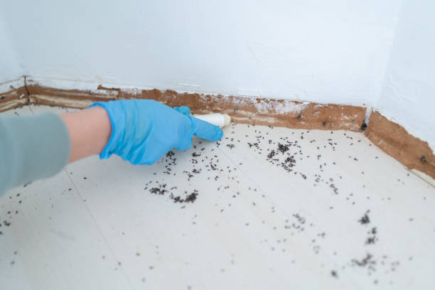 Best Emergency Pest Control  in Ozk, AR